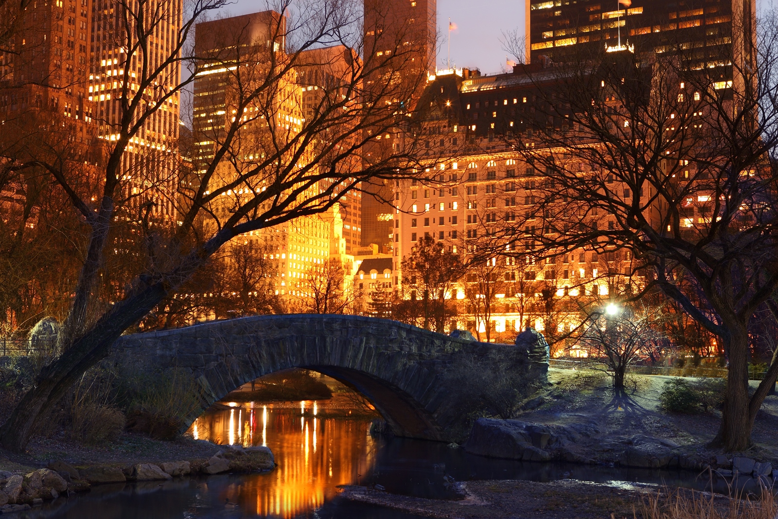 New York City 156